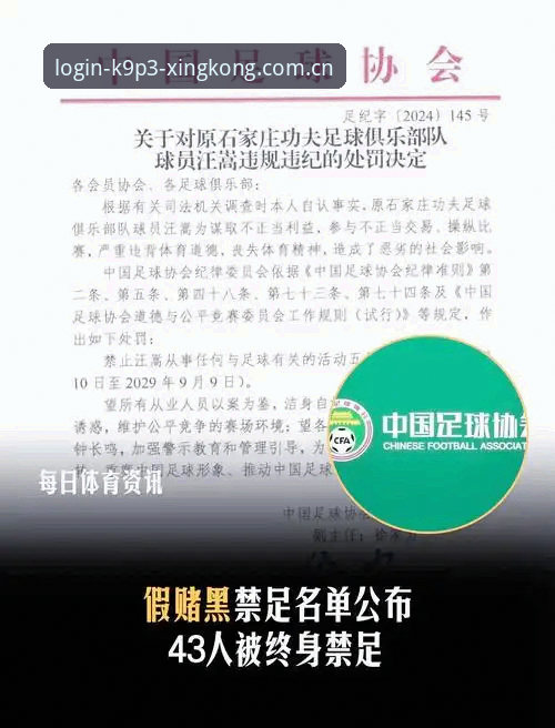 中国足球反腐风暴深度解析——从禁足名单看行业未来走向完整指南